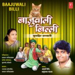 Baajuwali Billi - Akshay Kumar Song Download